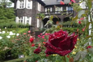 �Q���T��