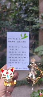 �����_��