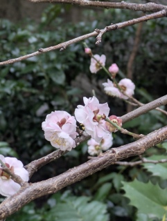 �^�~����